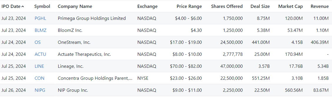 IPO. Placement of shares on the stock exchange