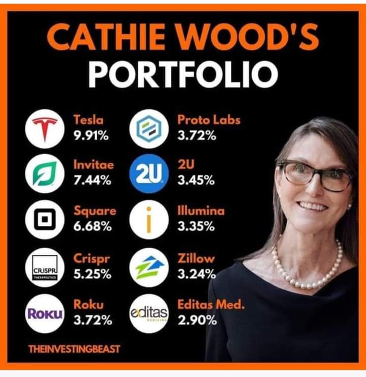 Cathy Woods portfolio